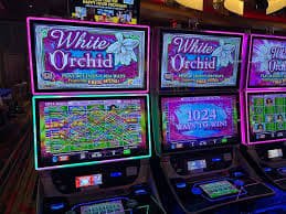 Tampilan dashboard permainan kasino langsung rolingspin dengan meja roulette dan blackjack
